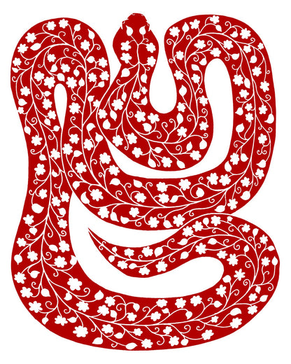 Snake Women's Sweatshirt